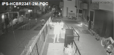 従来型赤外線カメラによる夜間の白黒映像